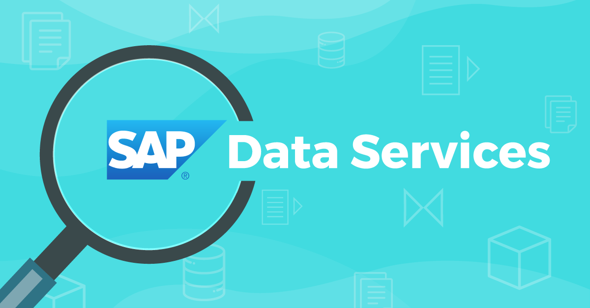 Documenting SAP BODS Metadata documenting-sap-bods-metadata