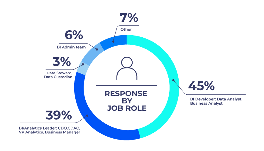 graphic-state-analytics-governance-2025-job-role graphic-state-analytics-governance-2025-job-role