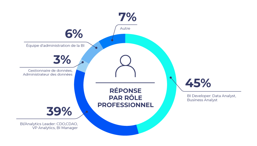 graphic-state-analytics-governance-2025-role-professionnel graphic-state-analytics-governance-2025-role-professionnel